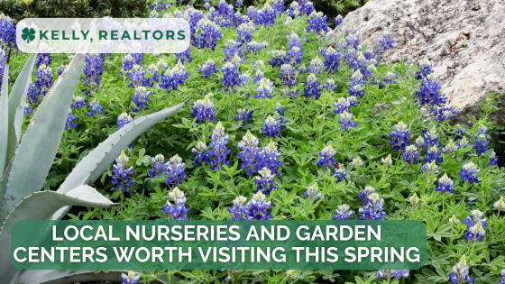 Local Nurseries and Garden Centers Worth Visiting This Spring | Kelly, Realtors