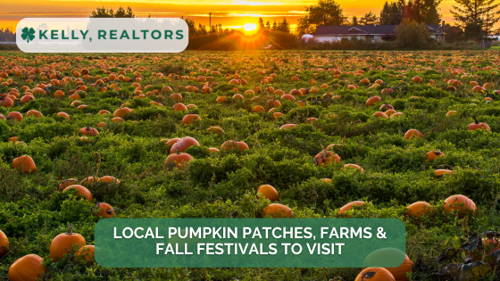 Local Pumpkin Patches, Farms & Fall Festivals to Visit | Kelly, Realtors